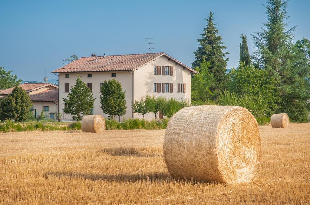 Agriturismo Casella Del Piano Губио Екстериор снимка